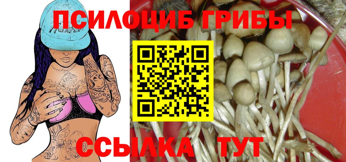 Псилоцибиновые грибы прущие грибы Сибай